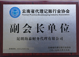 雲南省代理(lǐ)記賬協會 副會長(cháng)單位2017.6.16