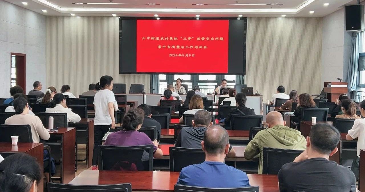 海泰财务为六甲街道农村集体“三资”监管突出问题集中专项整治财务培训