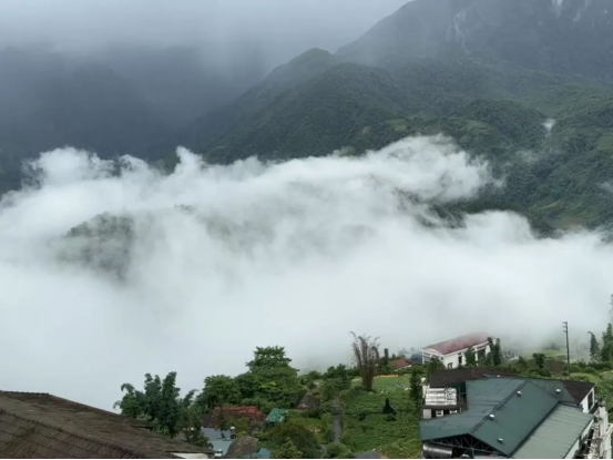 海泰财务 | 2025年度越南下龙湾之旅圆满收官