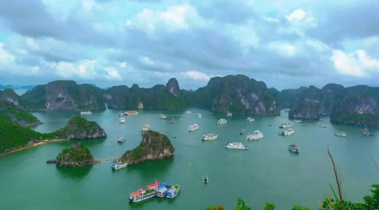 海泰财务 | 2025年度越南下龙湾之旅圆满收官