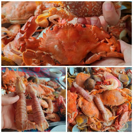 海泰财务 | 2025年度越南下龙湾之旅圆满收官